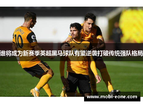 谁将成为新赛季英超黑马球队有望逆袭打破传统强队格局