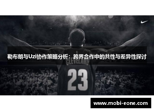 勒布朗与Uzi协作策略分析：跨界合作中的共性与差异性探讨