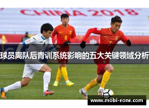 球员离队后青训系统影响的五大关键领域分析