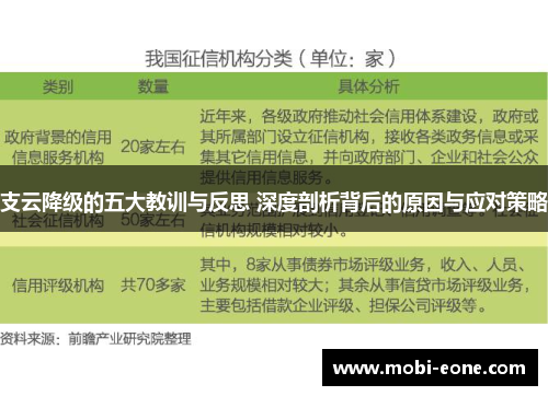 支云降级的五大教训与反思 深度剖析背后的原因与应对策略
