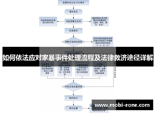 如何依法应对家暴事件处理流程及法律救济途径详解