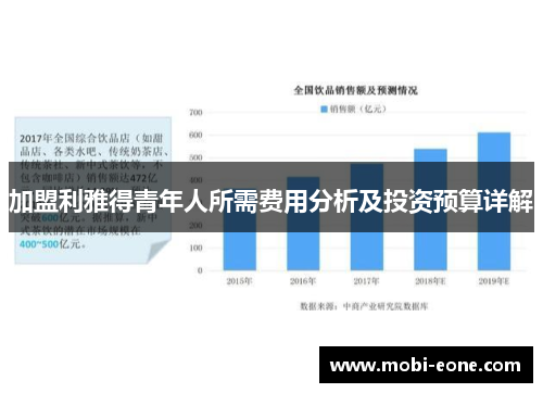 加盟利雅得青年人所需费用分析及投资预算详解