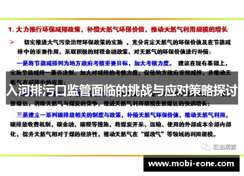 入河排污口监管面临的挑战与应对策略探讨