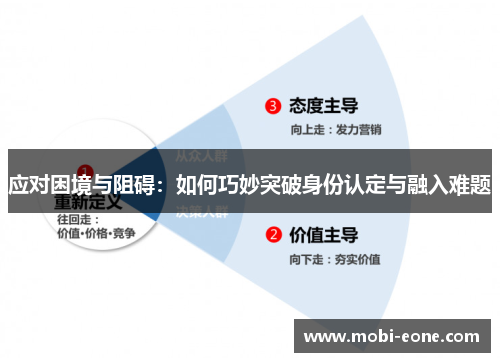 应对困境与阻碍：如何巧妙突破身份认定与融入难题
