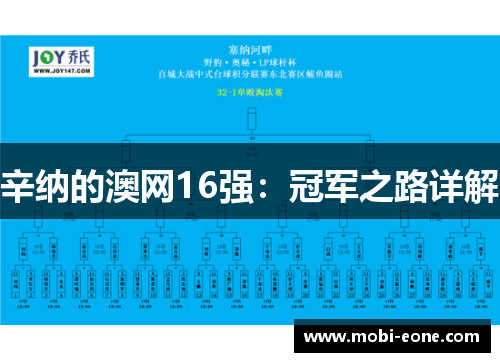 辛纳的澳网16强：冠军之路详解
