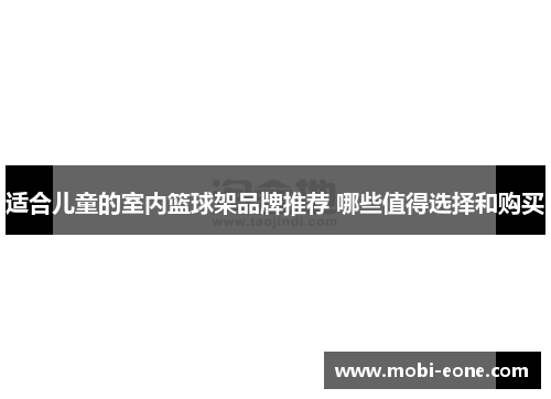 适合儿童的室内篮球架品牌推荐 哪些值得选择和购买