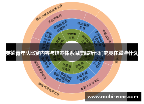 英超青年队比赛内容与培养体系深度解析他们究竟在踢些什么